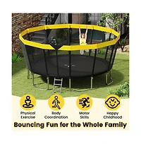 Ruie 16 ft Astm Compliant Recreational Trampoline with Safety Enclosure and Ladder
