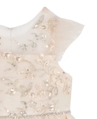 Rare Editions Girls' 2T-6X Sequin Floral Mesh Dress