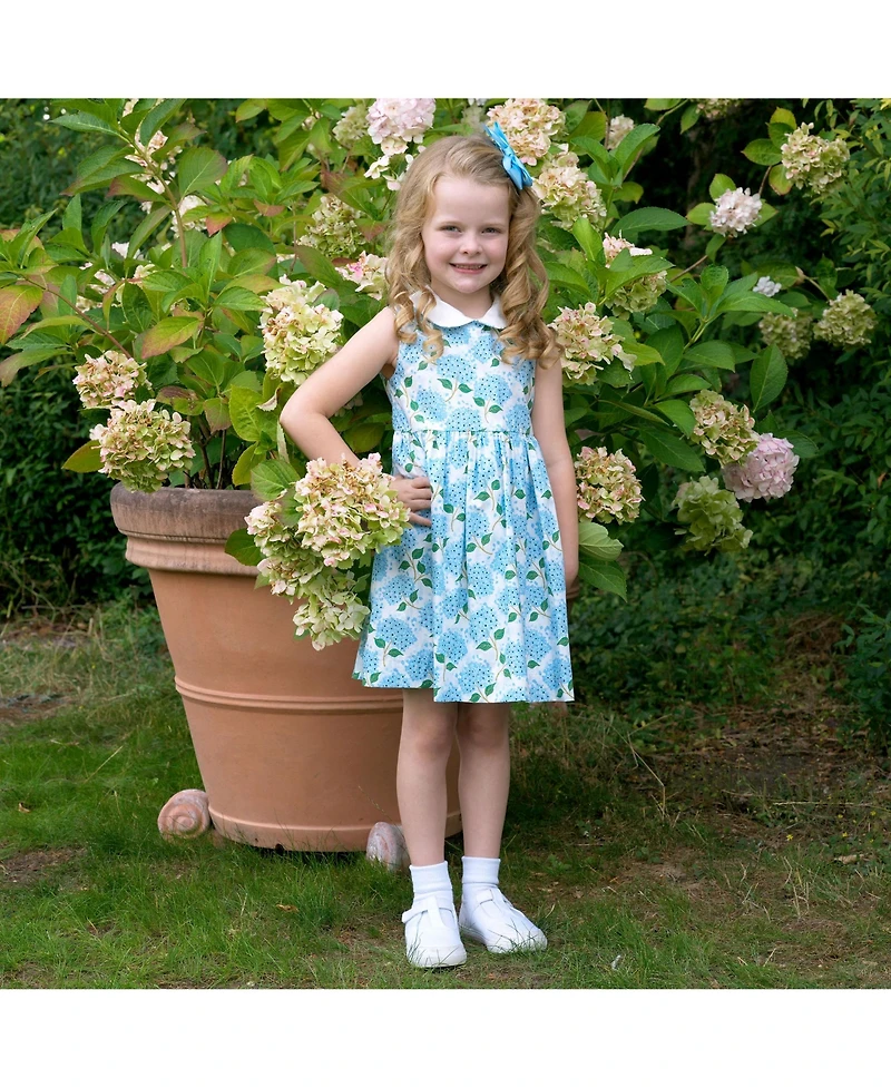 Rachel Riley Toddler Girls 2-10 Hydrangea Peter Pan Collar Dress