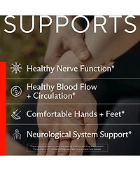 Sunergetic Nerve Support Capsules with Alpha Lipoic Acid, Benfotiamine and B Vitamins, Vegetarian, 60 Count