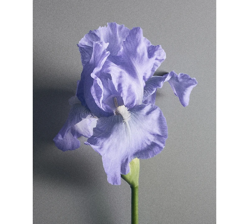 Creed Iris Debonair Eau de Parfum