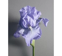 Creed Iris Debonair Eau de Parfum