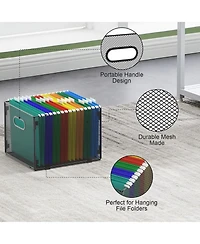Danrong Mesh Hanging File Organizer Collapsible Letter Storage Box