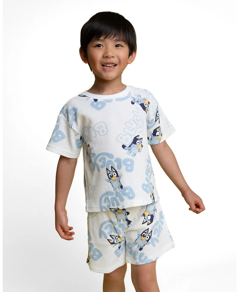 Bluey Toddler Boys' 2T- 4T 2-Piece T-Shirt and Shorts Set