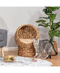 Ruie Hand-Woven Elevated Cat Bed Egg Chair House with Cushion and Stand