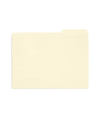 Danrong Manila Folders Letter Size 1 3 Cut Top Tabs Assorted Positions 200 Pack Paper Office Organization