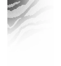 Lascana Women's O-Ring Zebra Print One Piece Swimsuit Bra Sizing