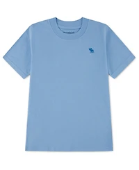 abercrombie kids Boys' 5-18 Essential Short-Sleeve T-Shirt