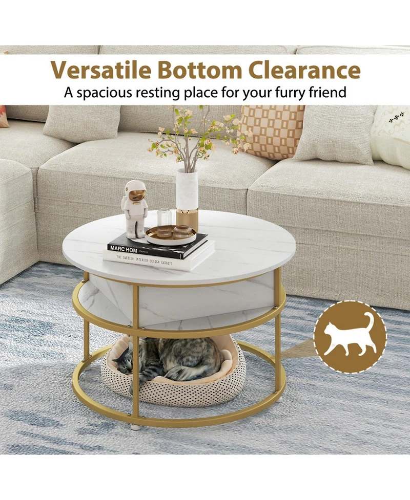 Sugift 31.5 in Round Lift Top Coffee Table with Hidden Compartment and Side Shelves