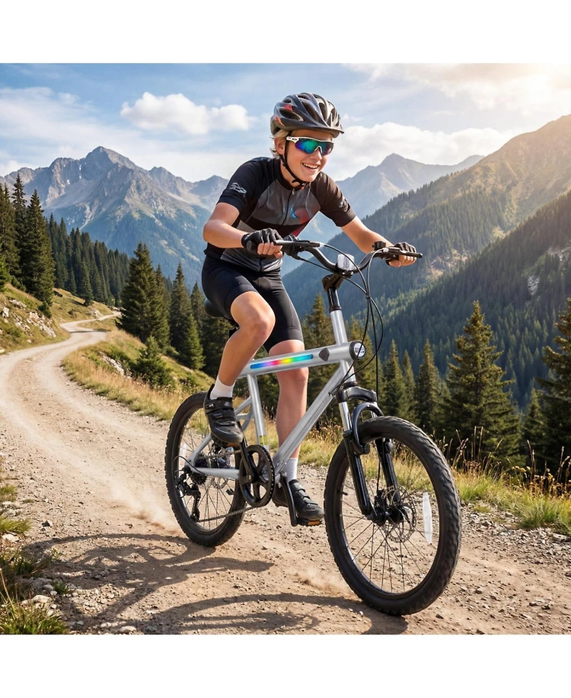 Hongge 20-Inch Commuter Bicycle Featuring Dual Disc Brakes