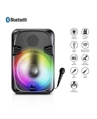Toptech Al-1202 Portable Bluetooth Karaoke Speaker