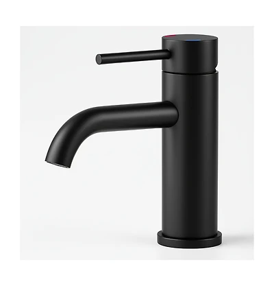 Busdays Single Handle Bathroom Faucet Lavatory Faucet Stainless Steel Single Hole Matte