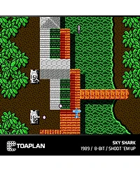 Evercade Toaplan Arcade Collection 4 Evercade