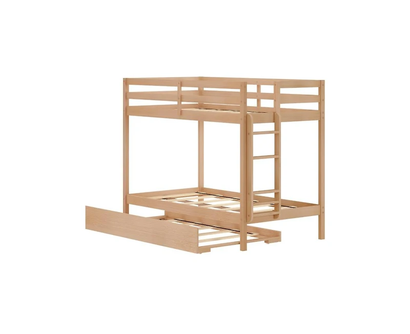 Grain & Grove Bear Plywood Twin/Twin with Trundle