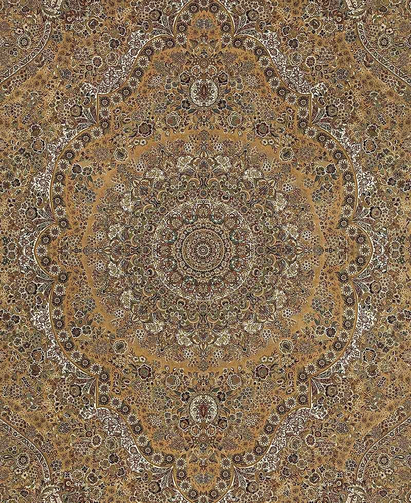 Oriental Weavers Masterpiece 8022J 5'3"x7'6" Area Rug