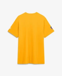 Nike Men's Gold Pittsburgh Steelers Alt Legend Small Logo Dri-fit T-Shirt