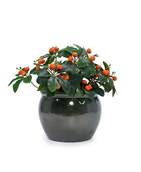 Yobtop Handmade Ceramic Planter Set - 15/12/9 Inch Succulent Herb Pots, Glossy Finish, Drainage Holes, Indoor Outdoor Decor