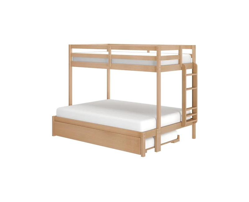 Grain & Grove Bear Plywood Twin/Full Bunk with Trundle