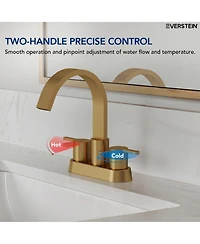 Everstein Centerset Bathroom Faucet with Drain Assembly, 2-handle Sink