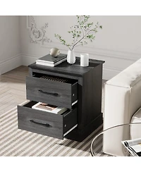 18.5" Farmhouse Nightstand with 2 Drawers Compact End Table for Living Room