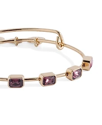 Alex and Ani February Birthstone Emerald Cut Bangle