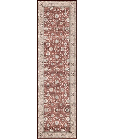Mink Home Homewell Machine Washable HAM4008 2'x6'11" Runner Area Rug