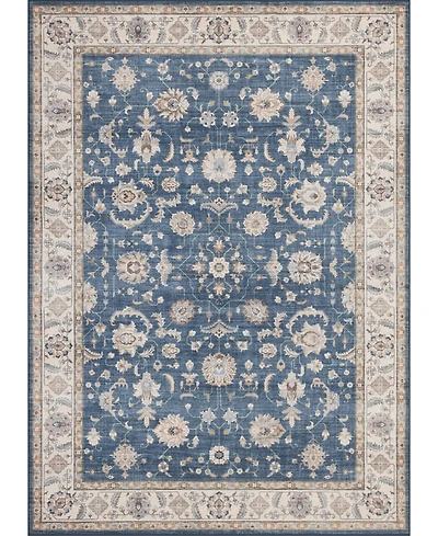 Mink Home Homewell Machine Washable HAM4007 9'10"x13'11" Area Rug