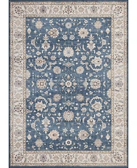 Mink Home Homewell Machine Washable HAM4007 9'10"x13'11" Area Rug