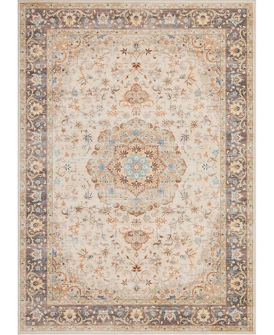 Mink Home Homewell Machine Washable HAM4002 4'11"x6'11" Area Rug