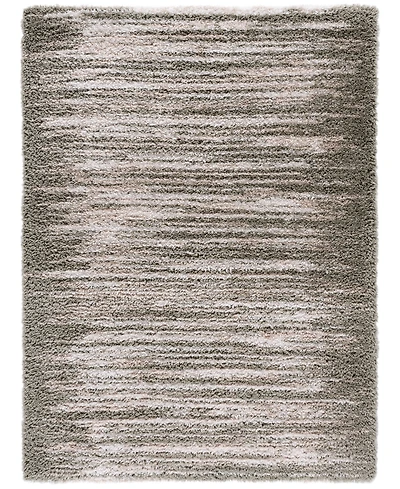Safavieh Ravine Shag RVE360F 8'x10' Area Rug