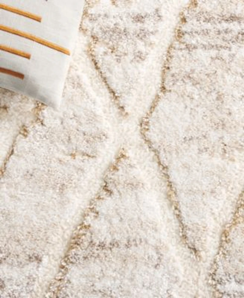 Safavieh Ravine Shag Rve354 Area Rug Collection