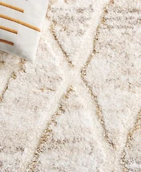 Safavieh Ravine Shag Rve354 Area Rug Collection