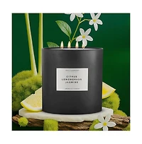 Environment 55oz Candle Inspired by W Hotel - Citrus | Lemongrass | Jasmine