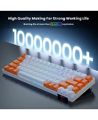 Lofree 65% Ultra Compact Wired Led Backlit Gaming Keyboard