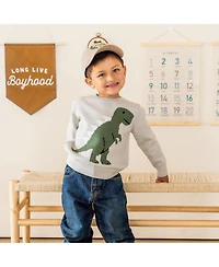 Sweet Wink Toddler Boys Dinosaur Sweater