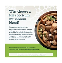Youtheory Mushroom Stress Complex, Full-Spectrum Mushrrom with L-Theanine, 60 Vegetarian Capsules