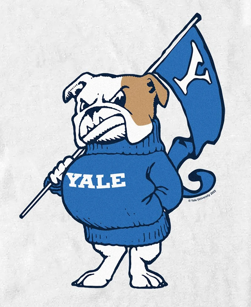 Fifth Sun Men's Bulldogs Yale Flag Graphic T-Shirt