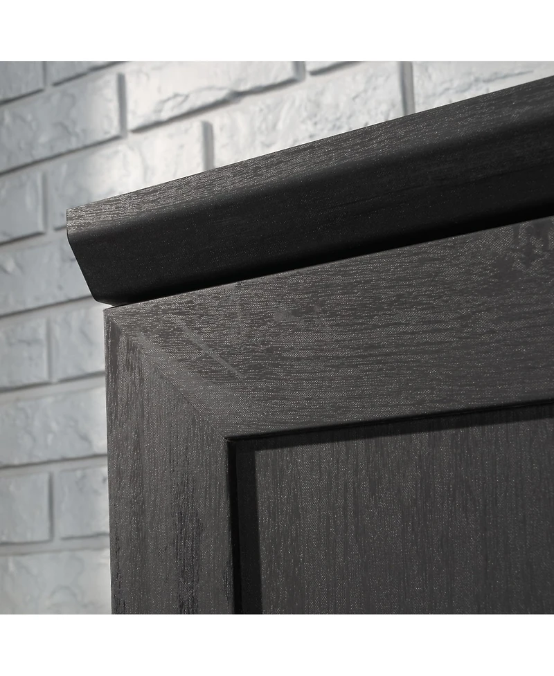 Sauder HomePlus Storage Cabinet