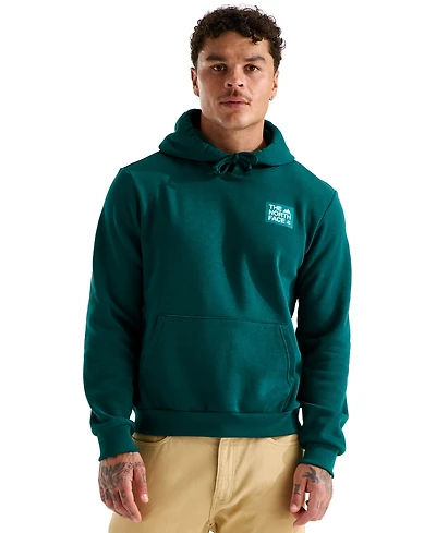 The North Face Men's Evolution Tnf Peak Hoodie