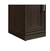 Bison Office Storage Cabinet in Dakota Oak Finish for versatile home organization