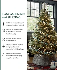Balsam Hill 9 ft Pre-Lit Classic Spruce Tree