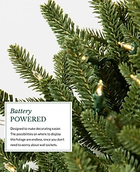 Balsam Hill 6 ft Fraser Fir Pre-Lit Garland