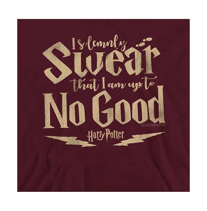 Harry Potter Men's Up To No Good Pull-Over Hoodie