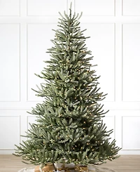 Balsam Hill Sanibel Spruce 8' Tree