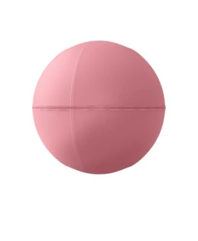 Bala Balance Ball