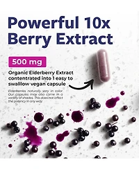 Pure Co Elderberry Extract Capsules, 10:1 Sambucus Nigra Extract, 5,000 Milligram Herbal Equivalent, 120 Capsules