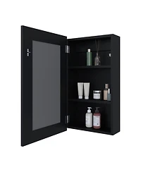 Fm Furniture Parks medicine cabinet with mirror