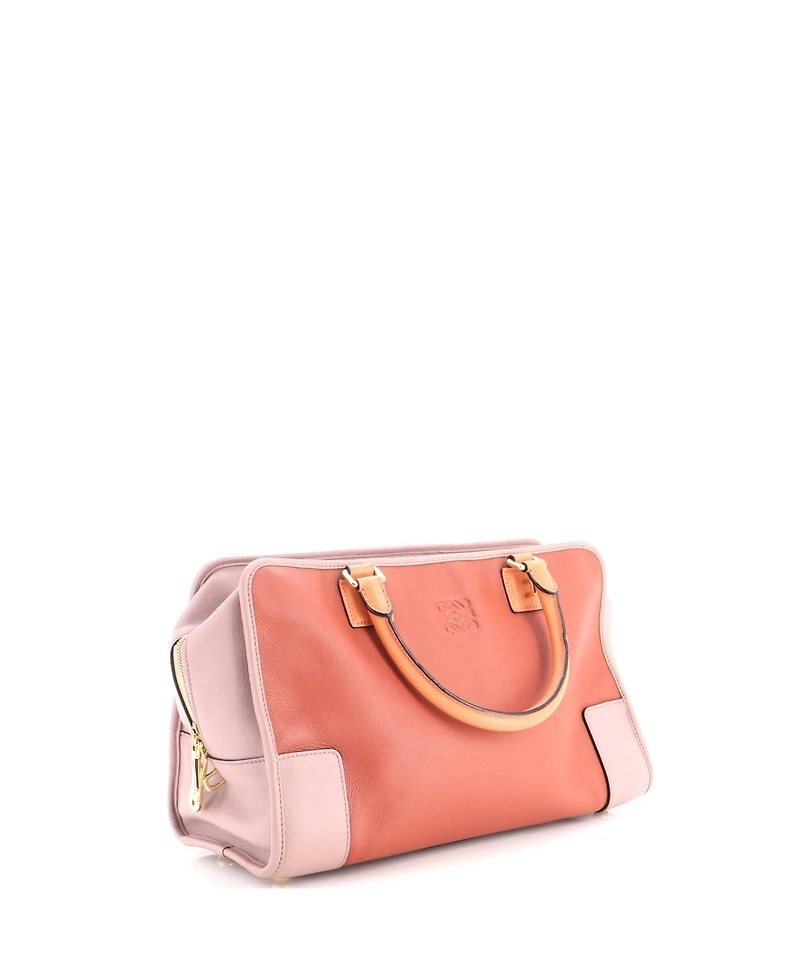Pre-Owned Loewe 36 Amazona Bag Leather