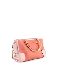 Pre-Owned Loewe 36 Amazona Bag Leather