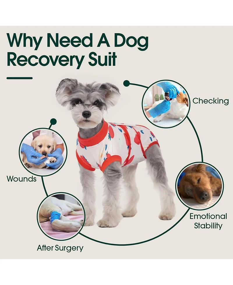 Breathable Stretch-Knit Post-Surgery Recovery Suit and Cone Alternative Onesie for Dogs